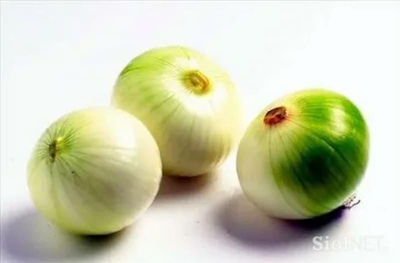 تصویر 4 از پیاز پوست مات با سطح مات و طبیعی برای آشپزی